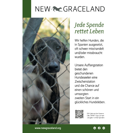 Füllerinserate New Graceland herunterladen Tiere Hunde Inserat