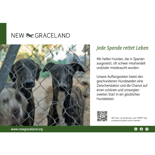 Füllerinserate New Graceland herunterladen Tiere Hunde Inserat