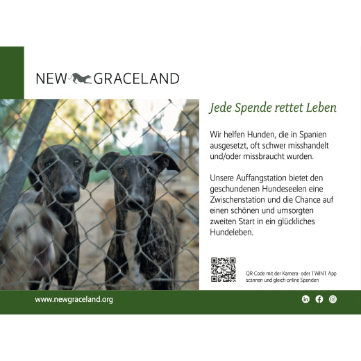 Füllerinserate New Graceland herunterladen Tiere Hunde Inserat